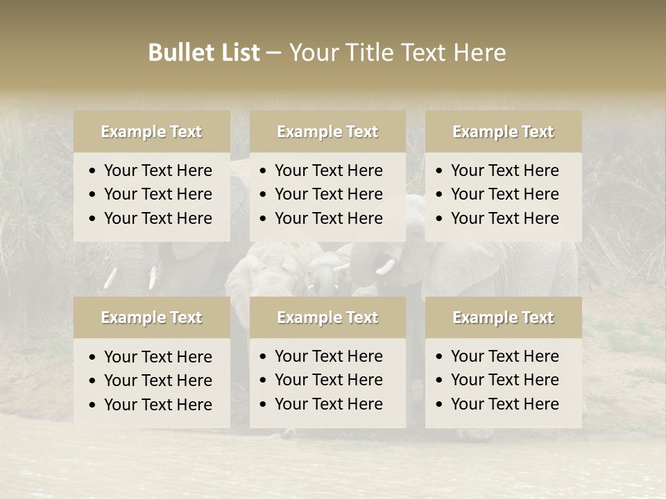 A Herd Of Elephants Standing Next To A Body Of Water PowerPoint Template