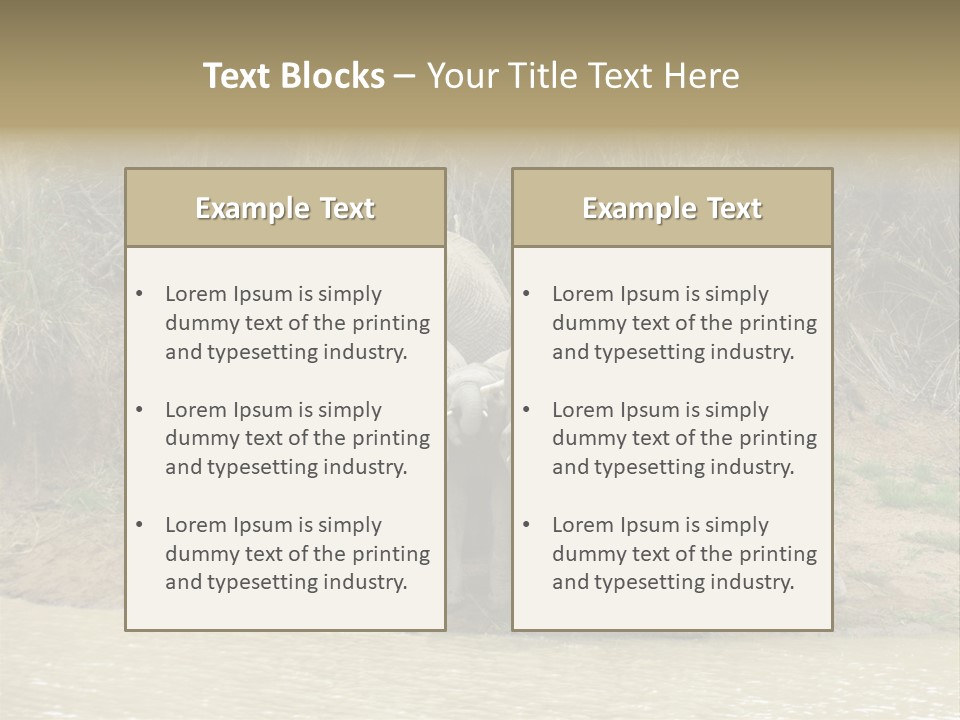 A Herd Of Elephants Standing Next To A Body Of Water PowerPoint Template