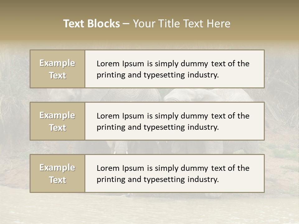 A Herd Of Elephants Standing Next To A Body Of Water PowerPoint Template