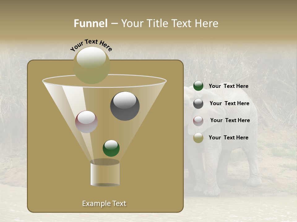 A Herd Of Elephants Standing Next To A Body Of Water PowerPoint Template