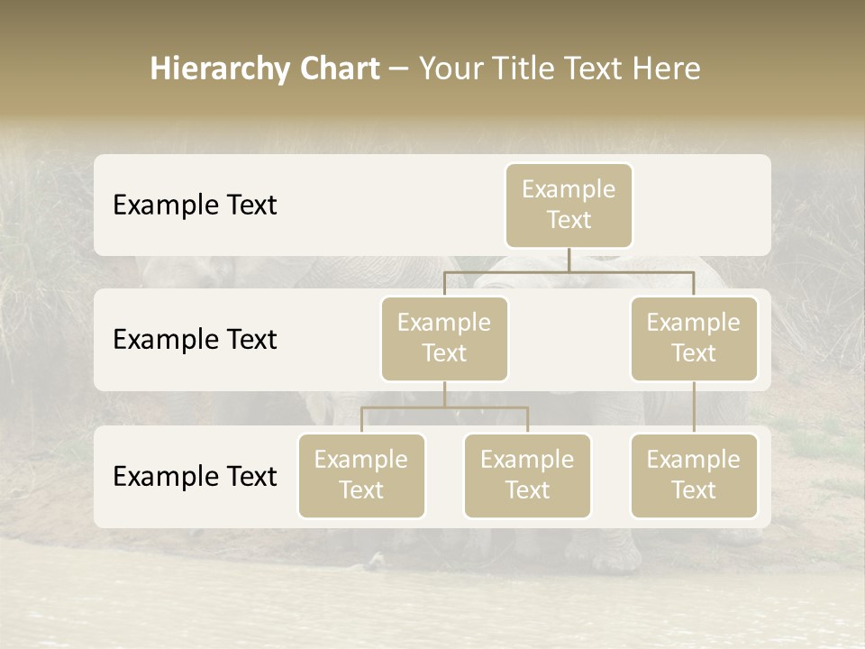 A Herd Of Elephants Standing Next To A Body Of Water PowerPoint Template