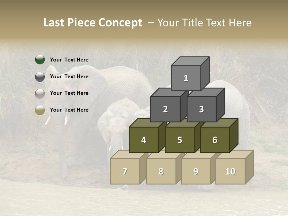 A Herd Of Elephants Standing Next To A Body Of Water PowerPoint Template