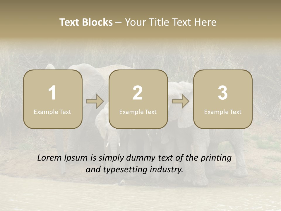 A Herd Of Elephants Standing Next To A Body Of Water PowerPoint Template
