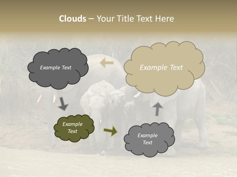 A Herd Of Elephants Standing Next To A Body Of Water PowerPoint Template