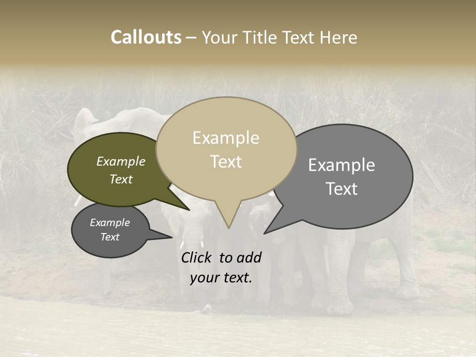 A Herd Of Elephants Standing Next To A Body Of Water PowerPoint Template