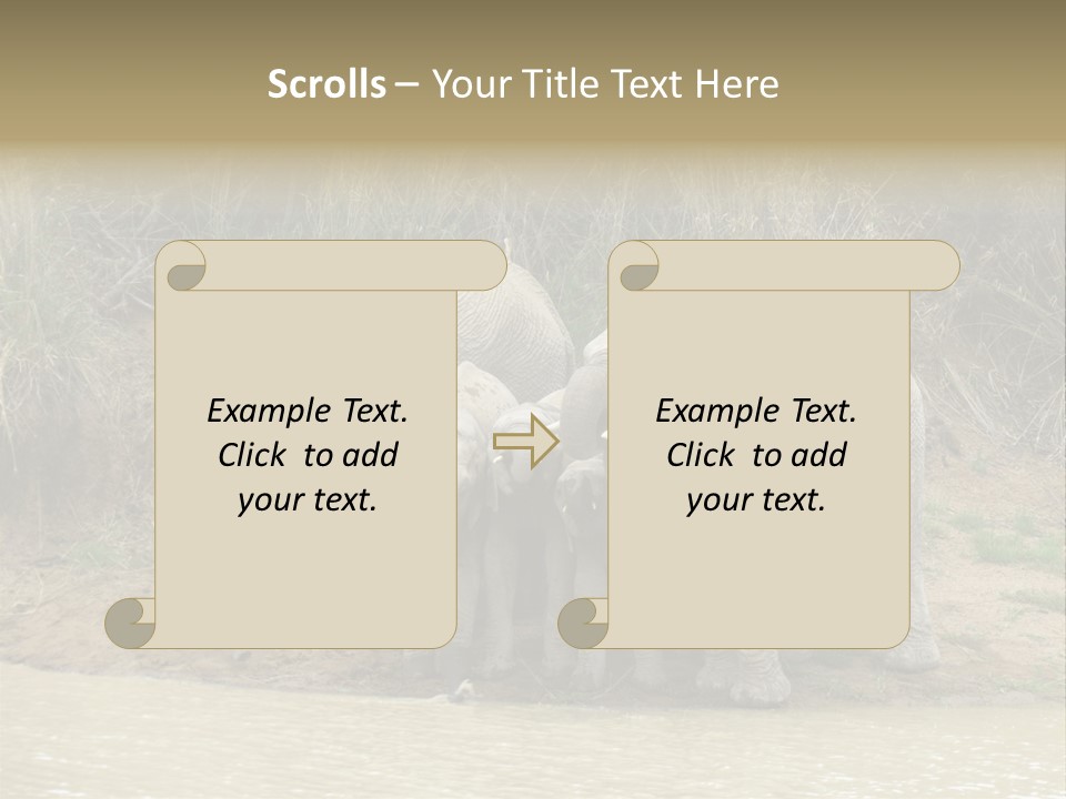 A Herd Of Elephants Standing Next To A Body Of Water PowerPoint Template