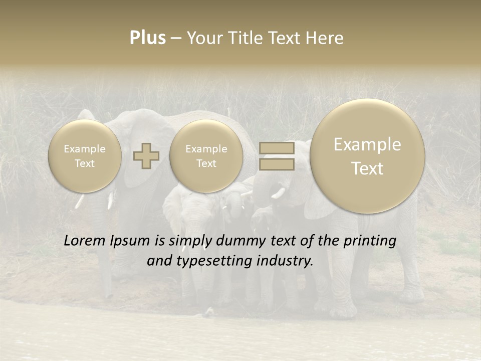 A Herd Of Elephants Standing Next To A Body Of Water PowerPoint Template