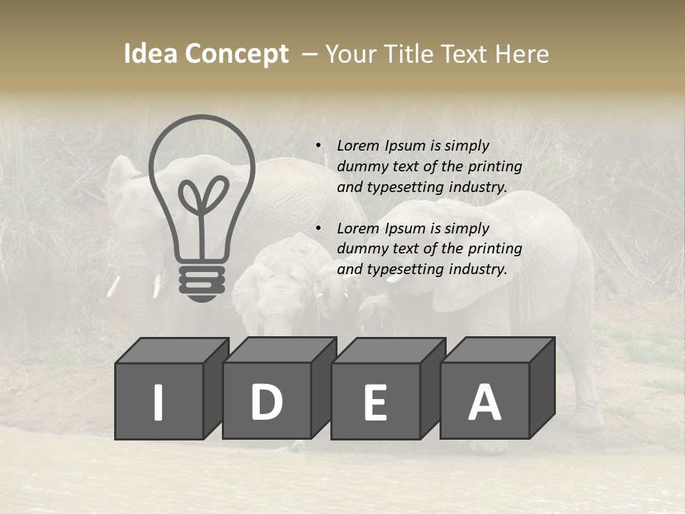 A Herd Of Elephants Standing Next To A Body Of Water PowerPoint Template