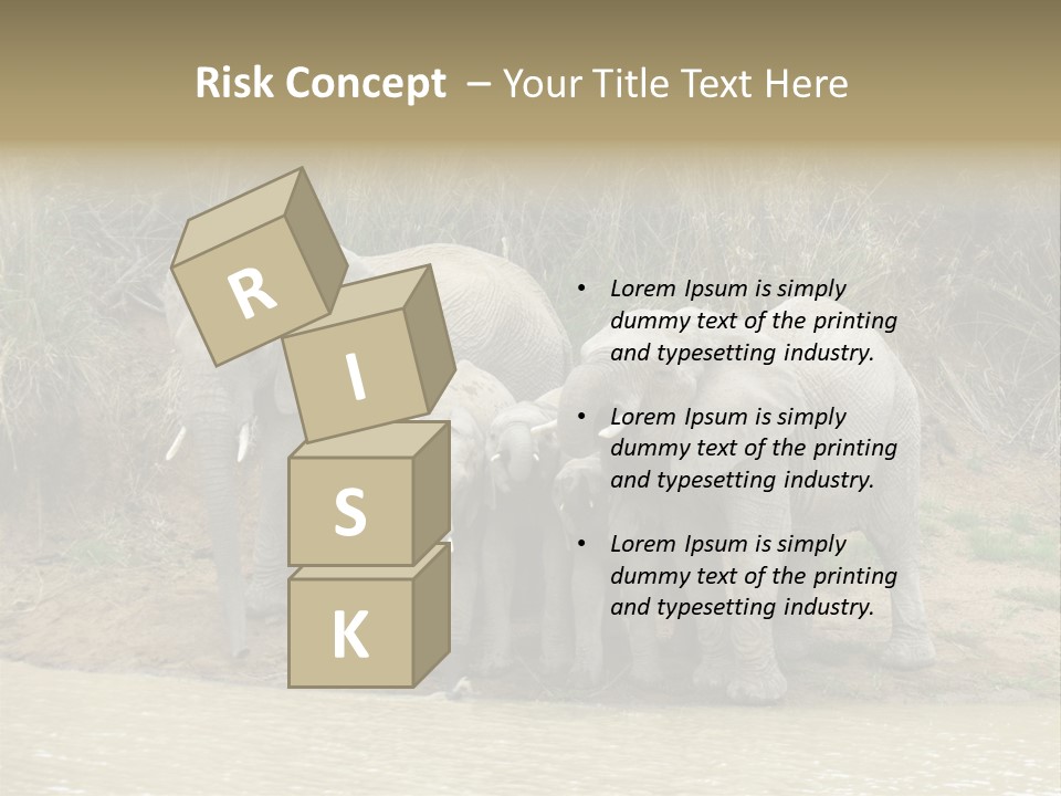 A Herd Of Elephants Standing Next To A Body Of Water PowerPoint Template