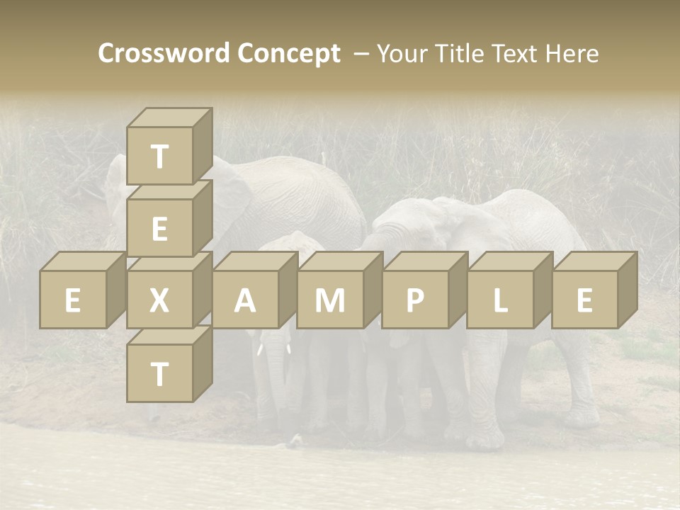 A Herd Of Elephants Standing Next To A Body Of Water PowerPoint Template