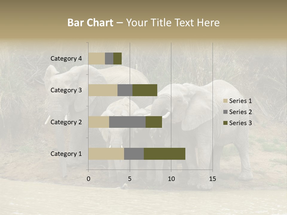A Herd Of Elephants Standing Next To A Body Of Water PowerPoint Template