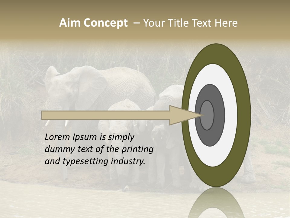 A Herd Of Elephants Standing Next To A Body Of Water PowerPoint Template