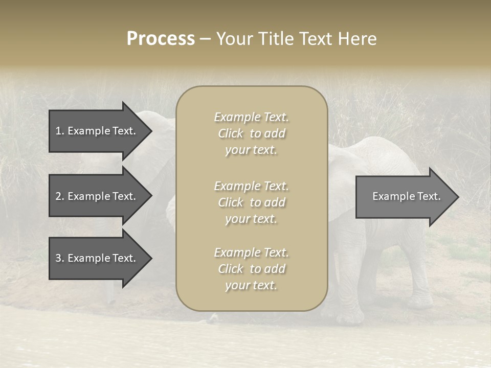 A Herd Of Elephants Standing Next To A Body Of Water PowerPoint Template