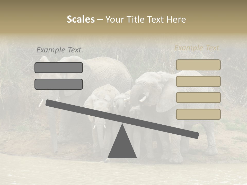 A Herd Of Elephants Standing Next To A Body Of Water PowerPoint Template