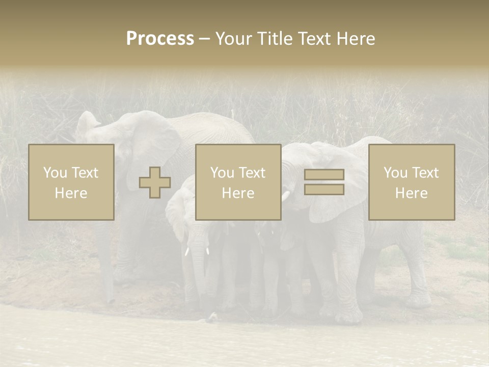 A Herd Of Elephants Standing Next To A Body Of Water PowerPoint Template