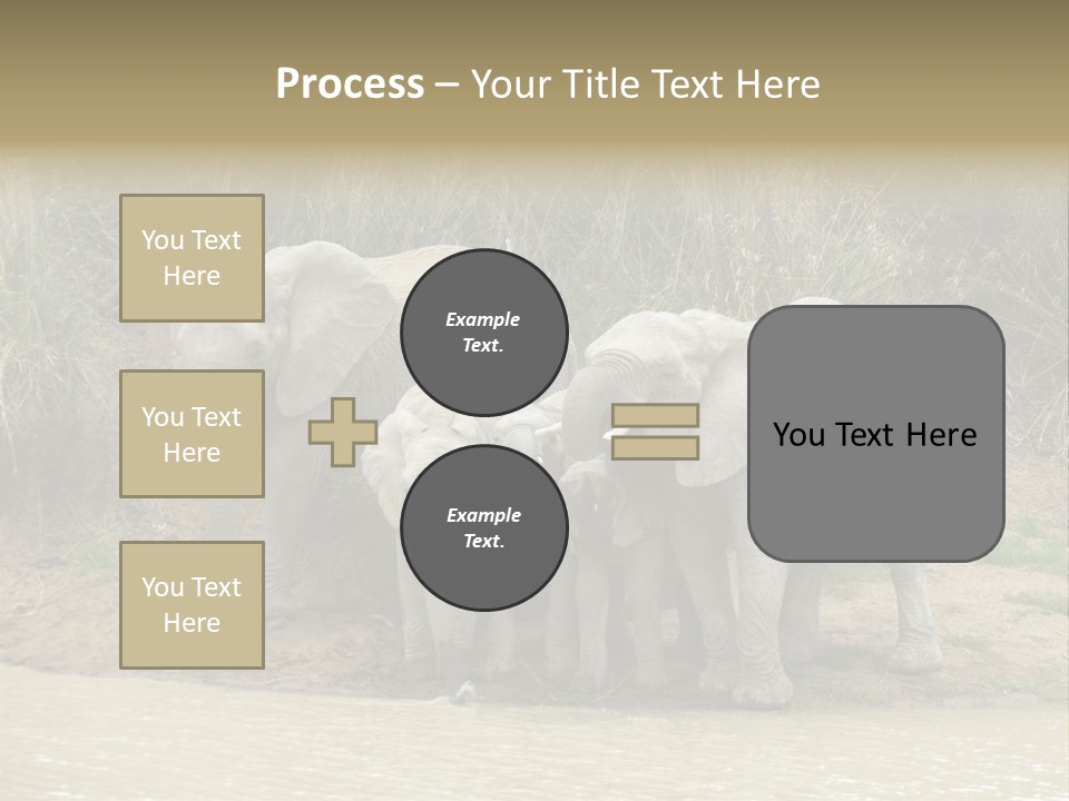 A Herd Of Elephants Standing Next To A Body Of Water PowerPoint Template