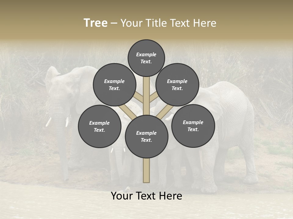 A Herd Of Elephants Standing Next To A Body Of Water PowerPoint Template