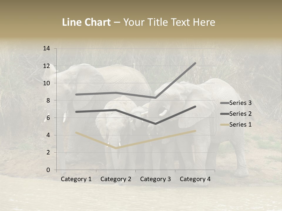 A Herd Of Elephants Standing Next To A Body Of Water PowerPoint Template
