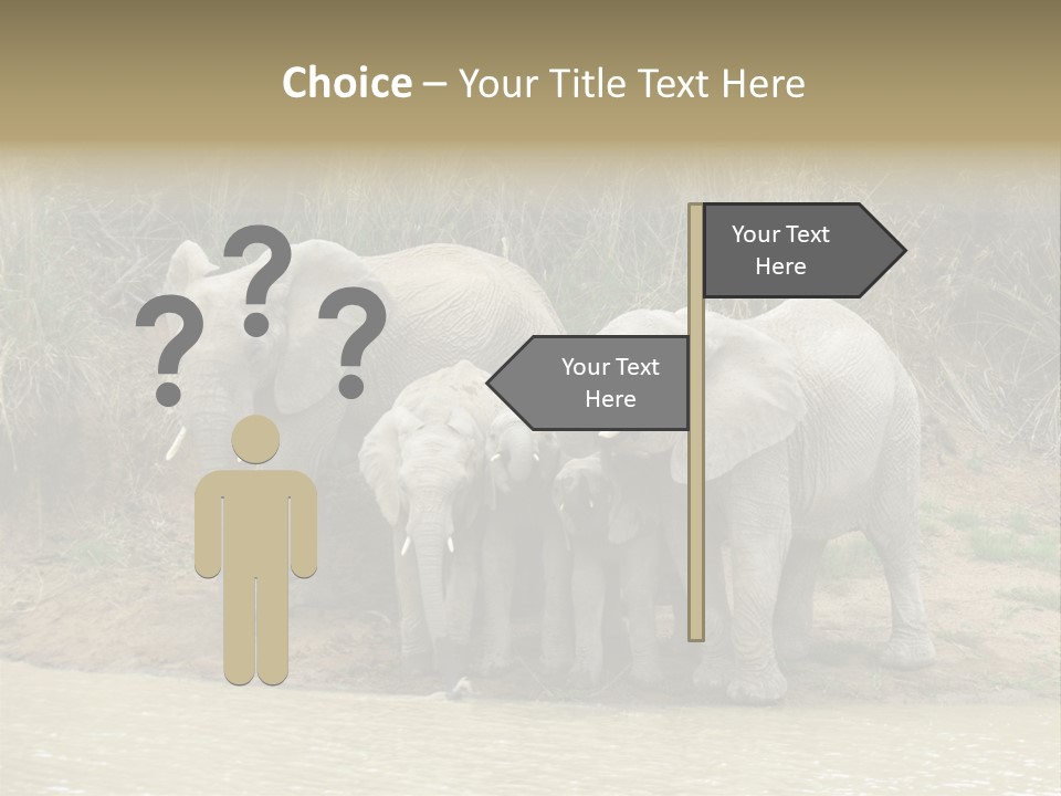 A Herd Of Elephants Standing Next To A Body Of Water PowerPoint Template