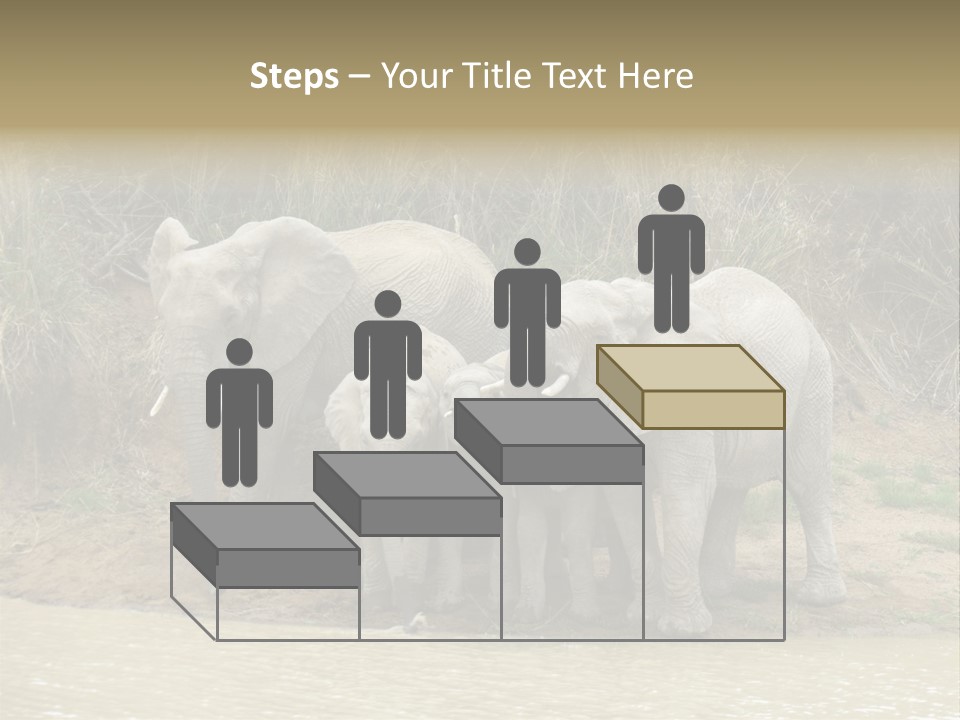 A Herd Of Elephants Standing Next To A Body Of Water PowerPoint Template