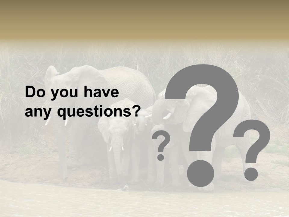 A Herd Of Elephants Standing Next To A Body Of Water PowerPoint Template