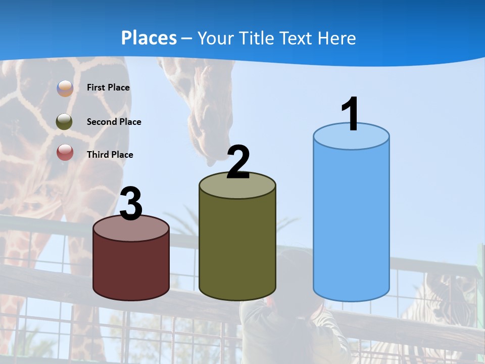 A Giraffe And A Zebra In A Fenced In Area PowerPoint Template