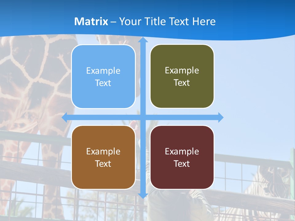A Giraffe And A Zebra In A Fenced In Area PowerPoint Template