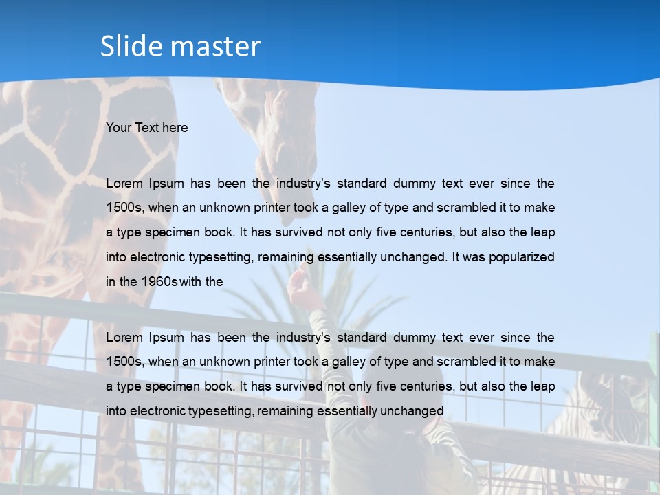 A Giraffe And A Zebra In A Fenced In Area PowerPoint Template