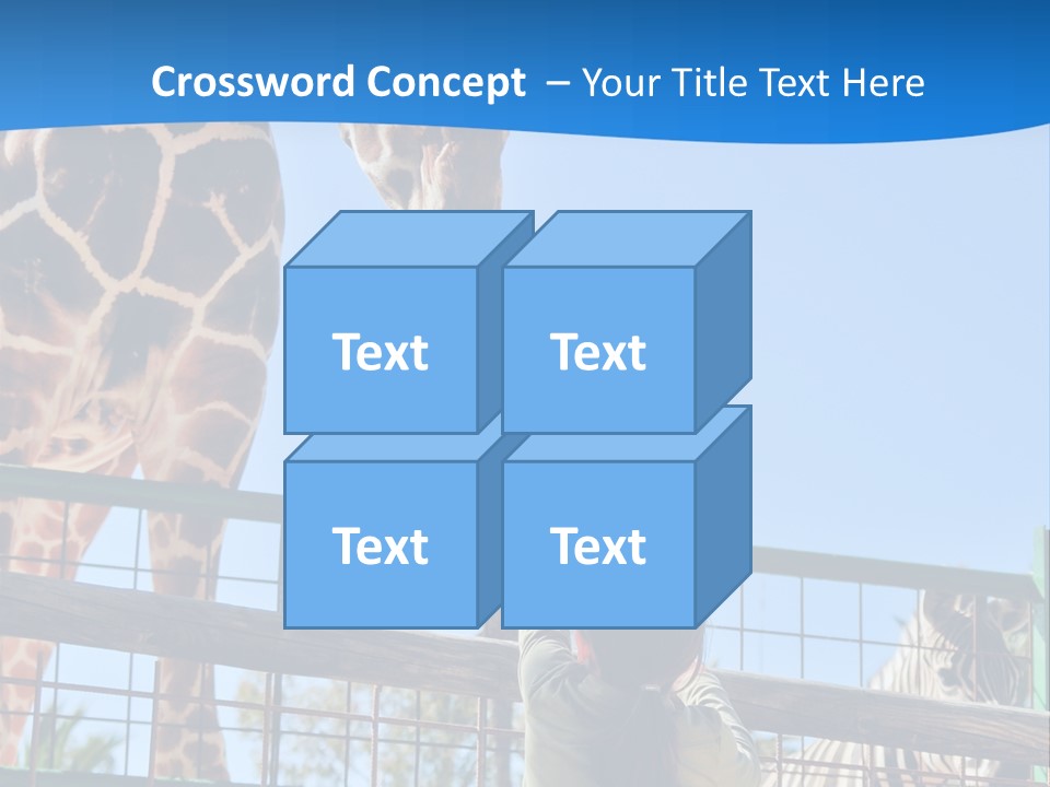 A Giraffe And A Zebra In A Fenced In Area PowerPoint Template