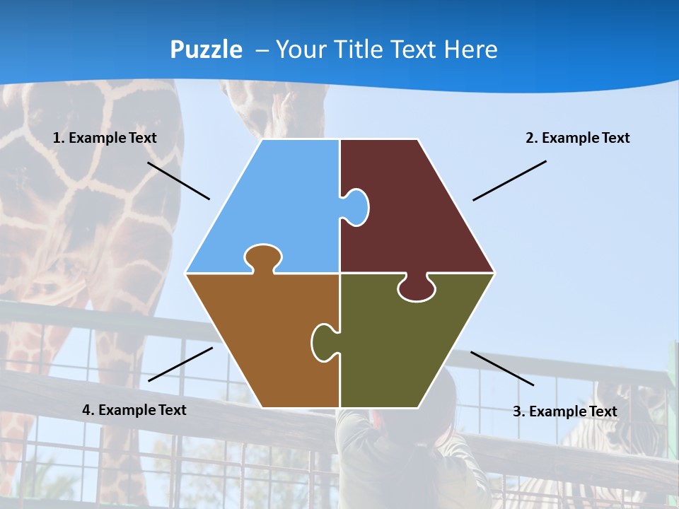 A Giraffe And A Zebra In A Fenced In Area PowerPoint Template