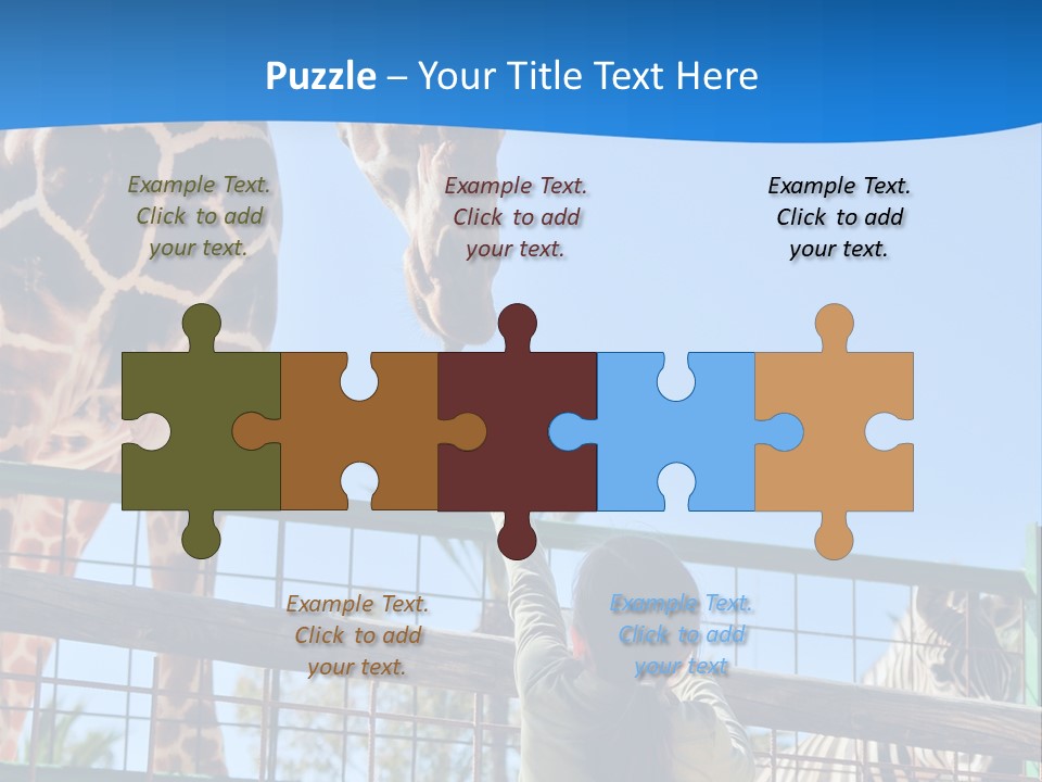 A Giraffe And A Zebra In A Fenced In Area PowerPoint Template