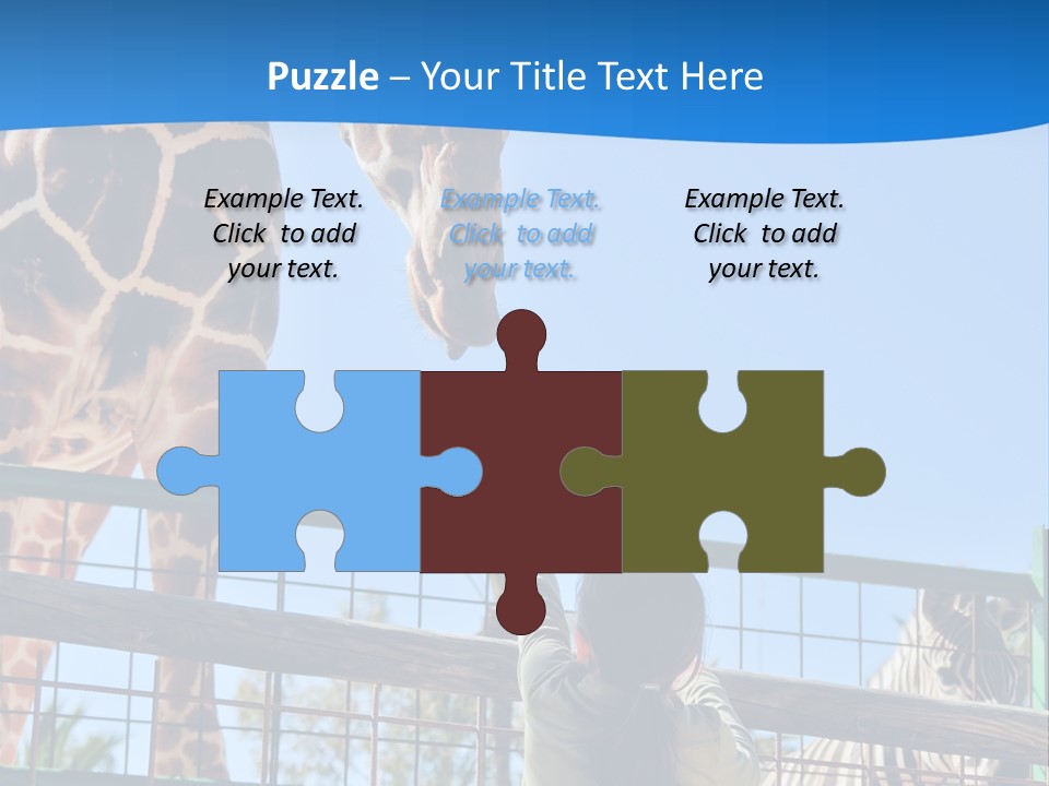 A Giraffe And A Zebra In A Fenced In Area PowerPoint Template