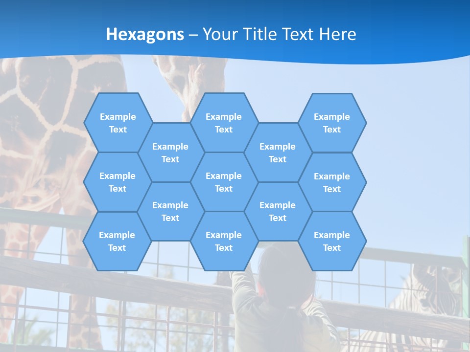 A Giraffe And A Zebra In A Fenced In Area PowerPoint Template