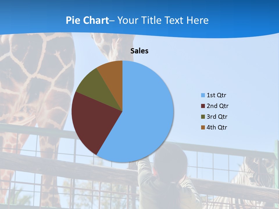 A Giraffe And A Zebra In A Fenced In Area PowerPoint Template