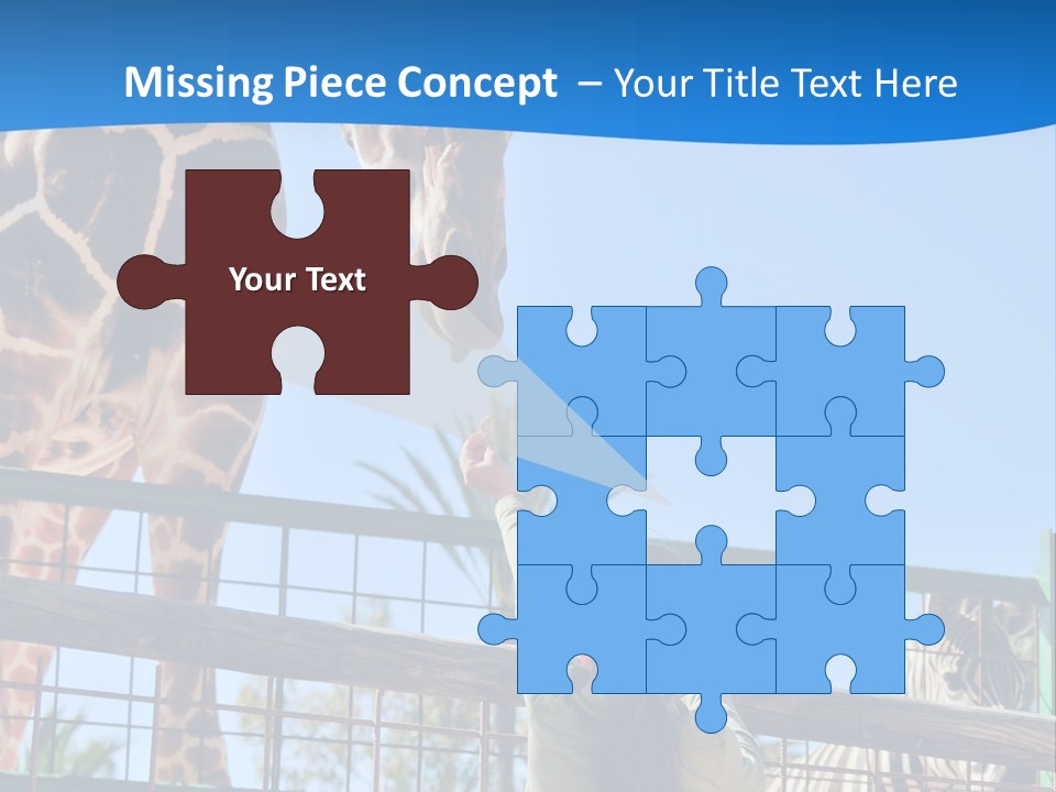 A Giraffe And A Zebra In A Fenced In Area PowerPoint Template