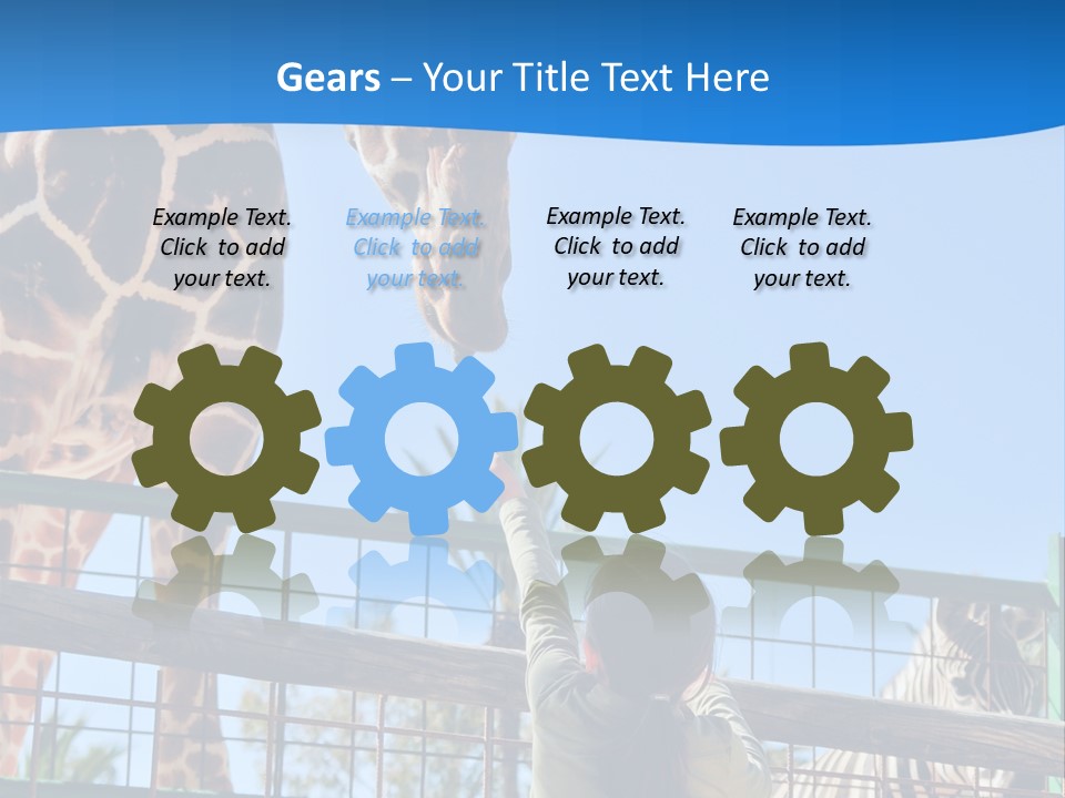 A Giraffe And A Zebra In A Fenced In Area PowerPoint Template
