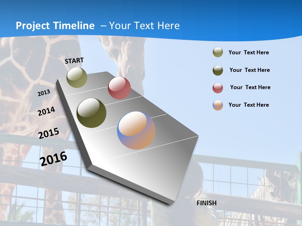 A Giraffe And A Zebra In A Fenced In Area PowerPoint Template