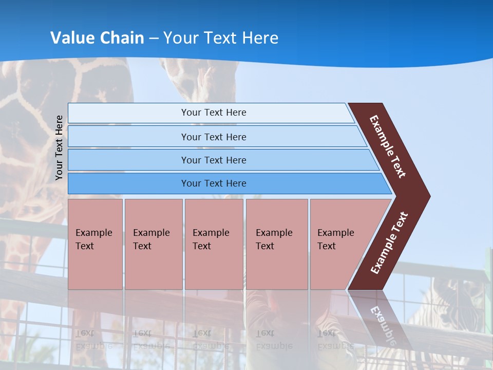 A Giraffe And A Zebra In A Fenced In Area PowerPoint Template