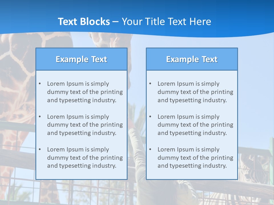 A Giraffe And A Zebra In A Fenced In Area PowerPoint Template