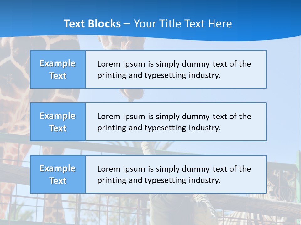 A Giraffe And A Zebra In A Fenced In Area PowerPoint Template