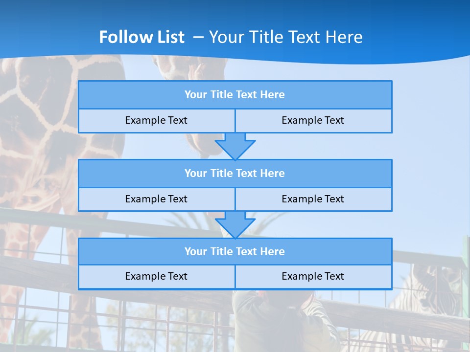 A Giraffe And A Zebra In A Fenced In Area PowerPoint Template