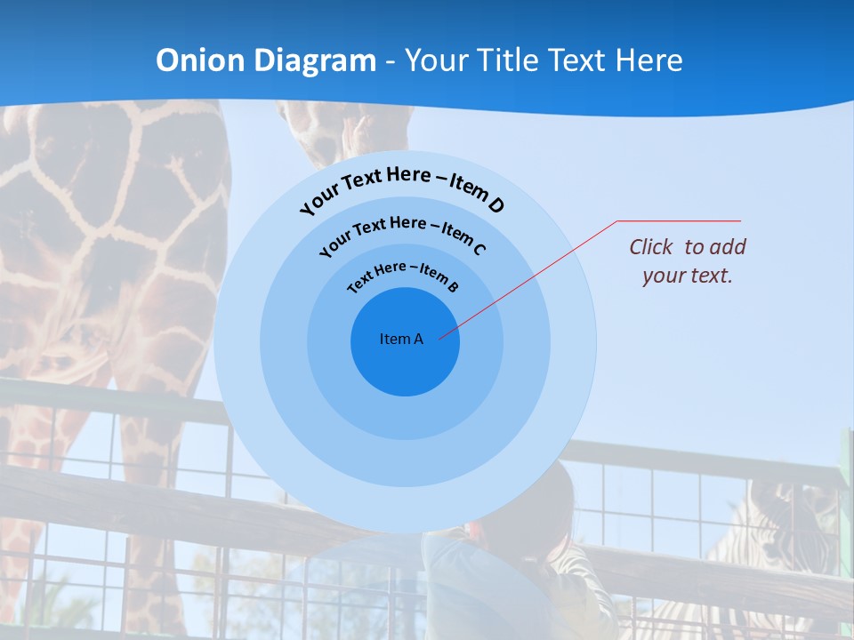 A Giraffe And A Zebra In A Fenced In Area PowerPoint Template