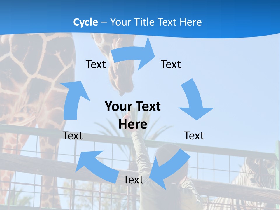A Giraffe And A Zebra In A Fenced In Area PowerPoint Template