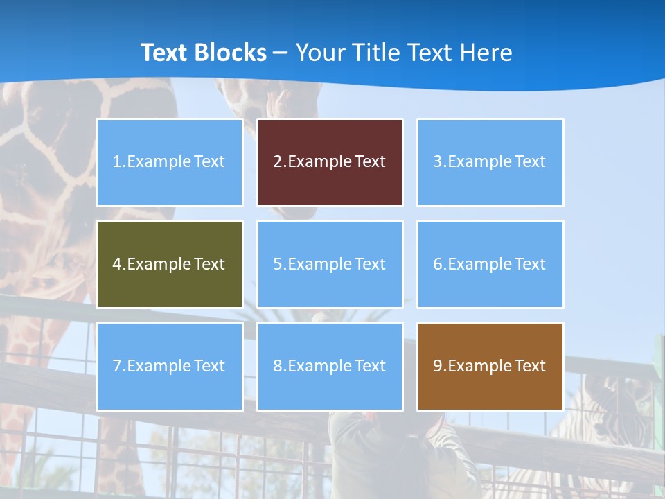 A Giraffe And A Zebra In A Fenced In Area PowerPoint Template