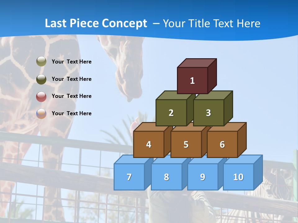 A Giraffe And A Zebra In A Fenced In Area PowerPoint Template
