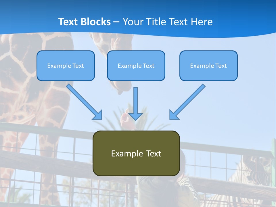 A Giraffe And A Zebra In A Fenced In Area PowerPoint Template