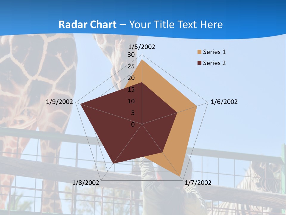 A Giraffe And A Zebra In A Fenced In Area PowerPoint Template