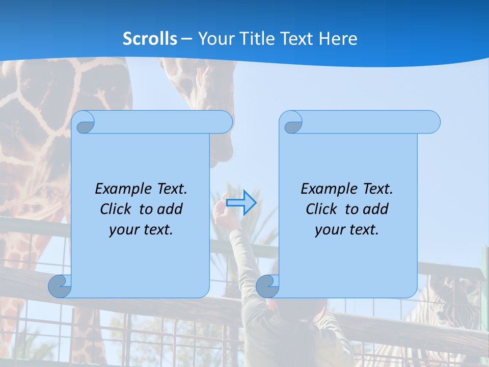 A Giraffe And A Zebra In A Fenced In Area PowerPoint Template