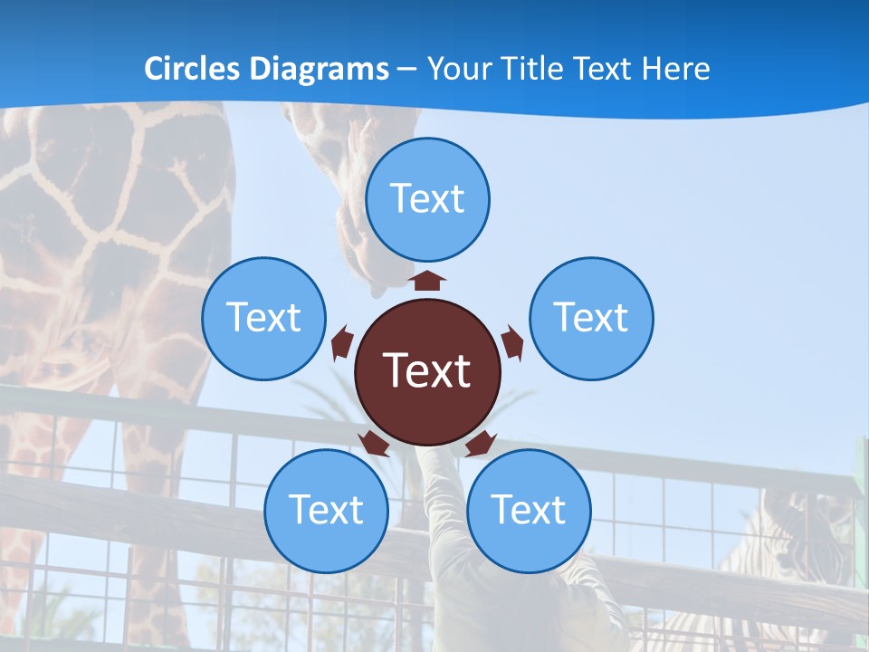 A Giraffe And A Zebra In A Fenced In Area PowerPoint Template