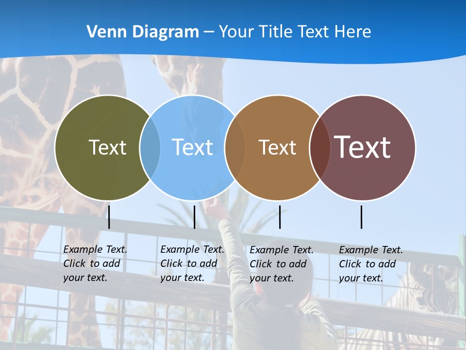 A Giraffe And A Zebra In A Fenced In Area PowerPoint Template